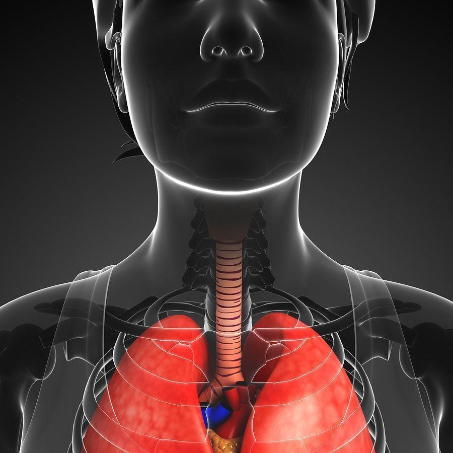 What is Esophagitis and How Can it be Treated?