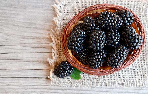 Eat More Blackberries
