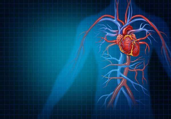 Heart Disease: 8 Ways to Reduce Your Risk