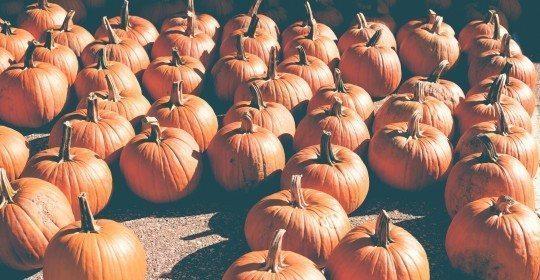 4 Halloween Events in Houston to Take Your Kids to This Year