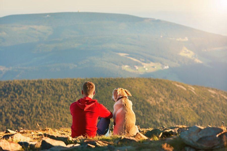 How to Safely Hike with Your Dog