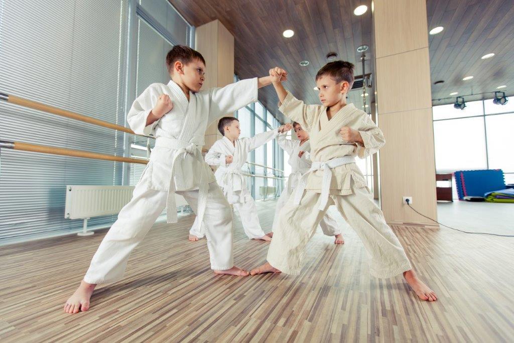 Sugar Land TX Karate Classes Teach Your Children Confidence, Character, and Respect