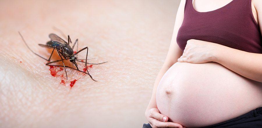 What you Need to Know about Zika Virus