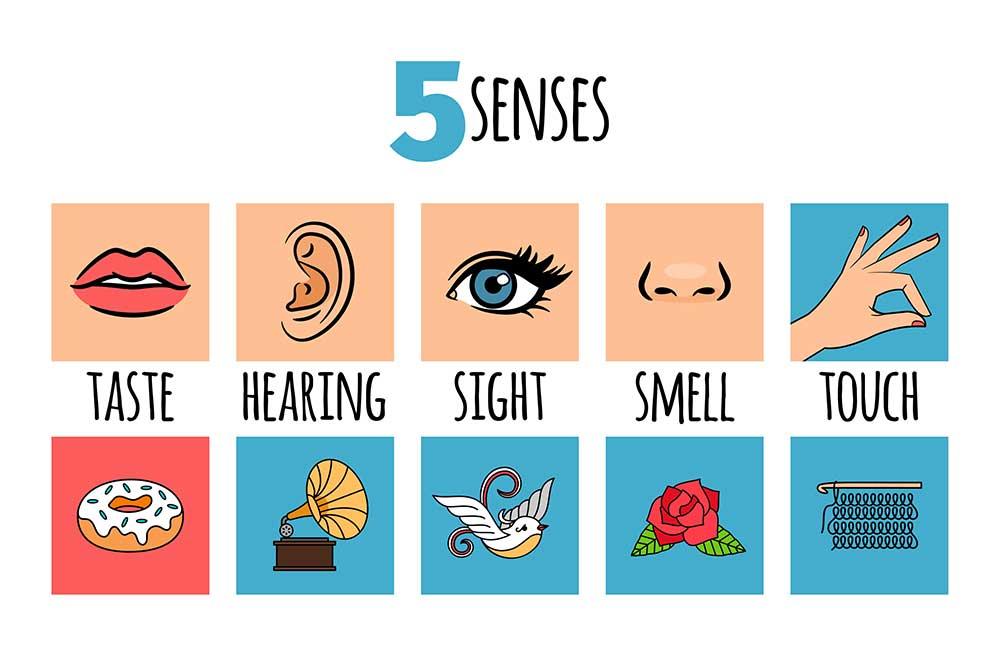 Protecting Your 5 Senses