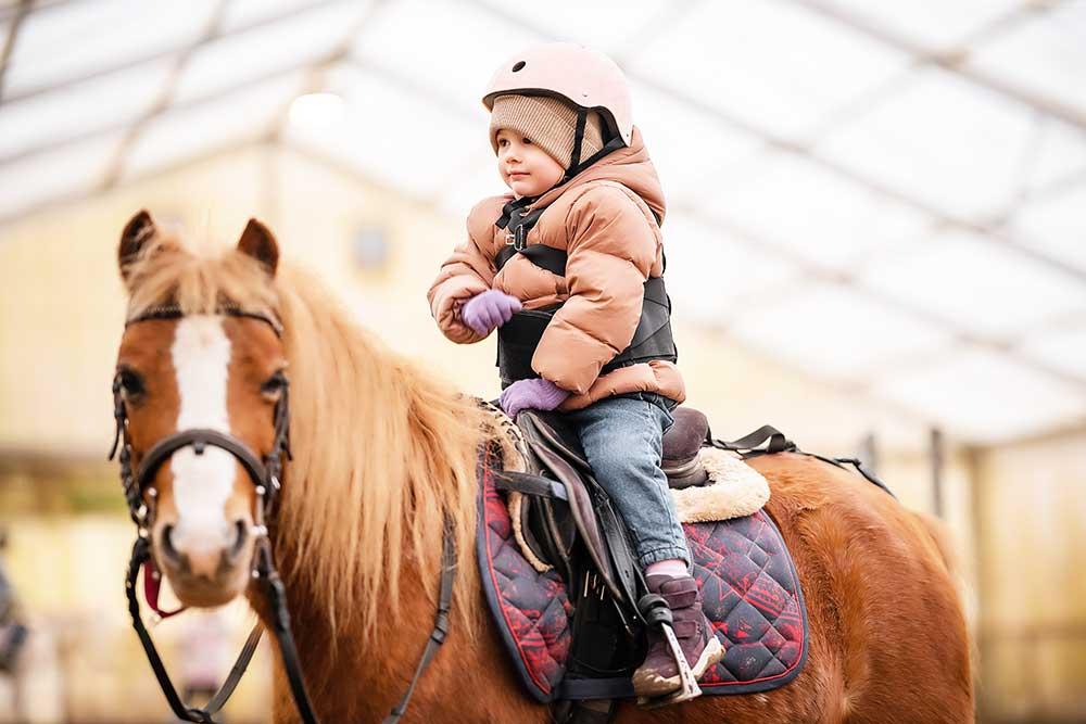 Horseback Riding: 5 Tips to Keep You Safe in the Saddle