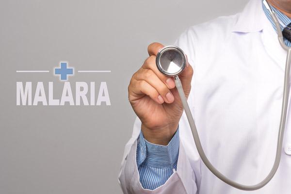 What You Need to Know About Malaria