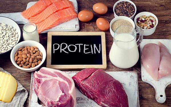 Why Protein is Important for a Healthy Body