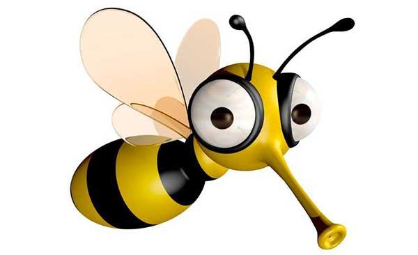 symptoms/bees-wasps.jpg